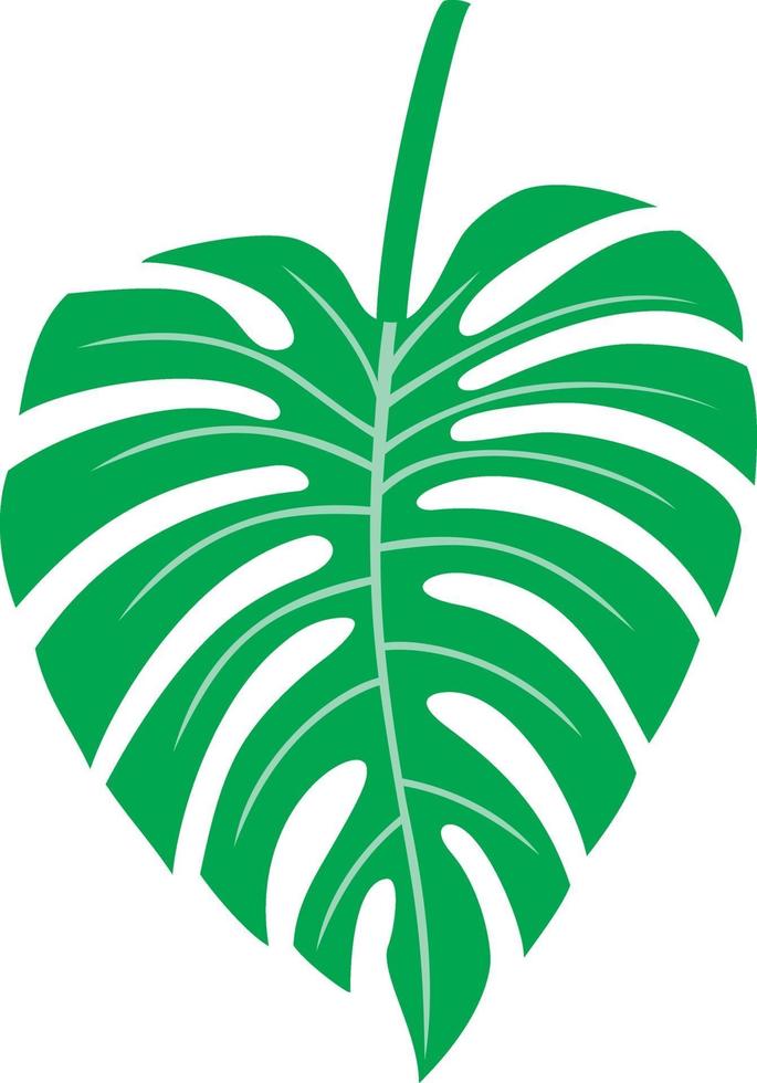 blad van monstera - tropische plant vector