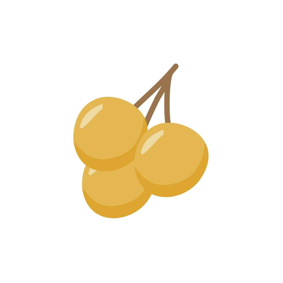 kelengkeng of longan fruit illustratie vector