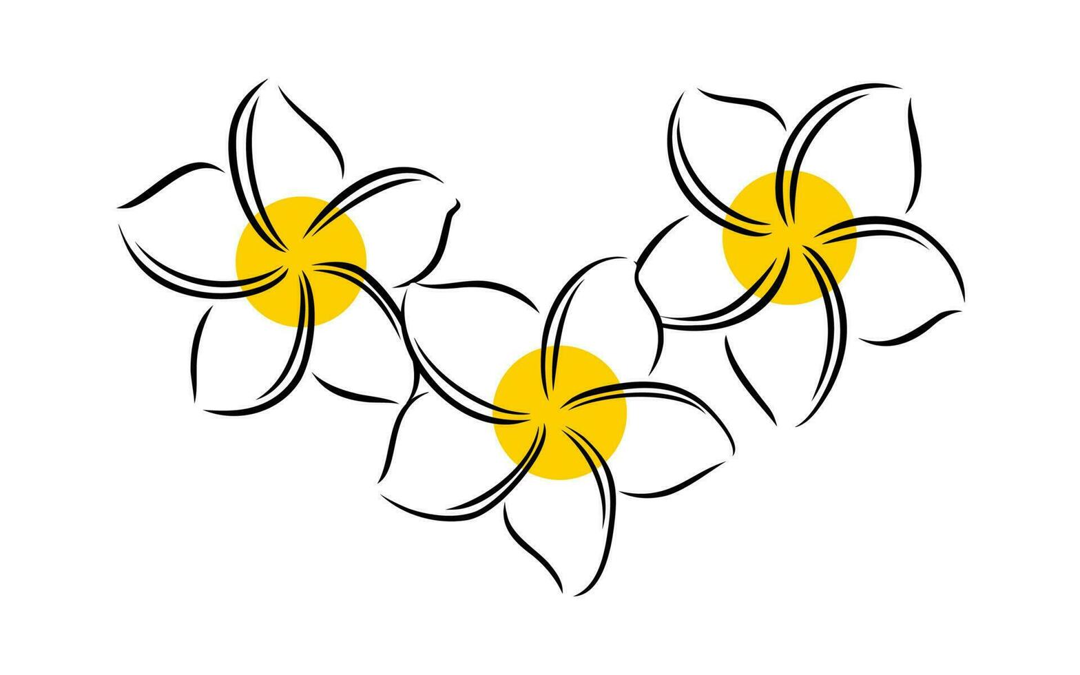 frangipani of plumeria exotisch zomer bloem. gegraveerde frangipani geïsoleerd in wit achtergrond. vector illustratie