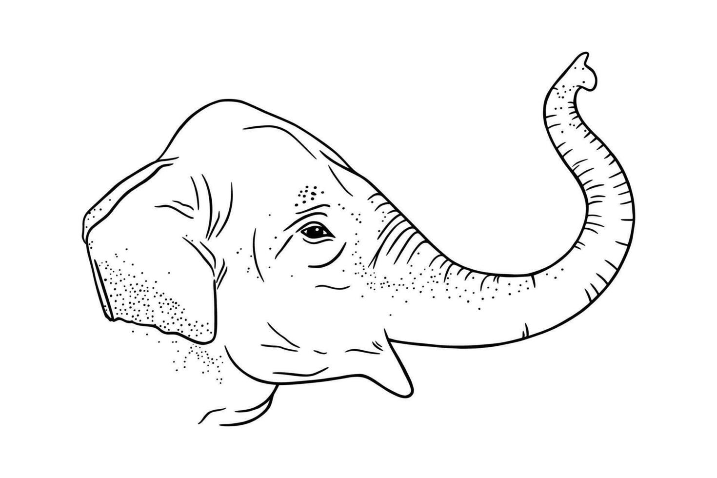 olifant hoofd profiel met omgekeerd kofferbak. gegraveerde Indisch olifant. vector illustratie geïsoleerd Aan wit achtergrond