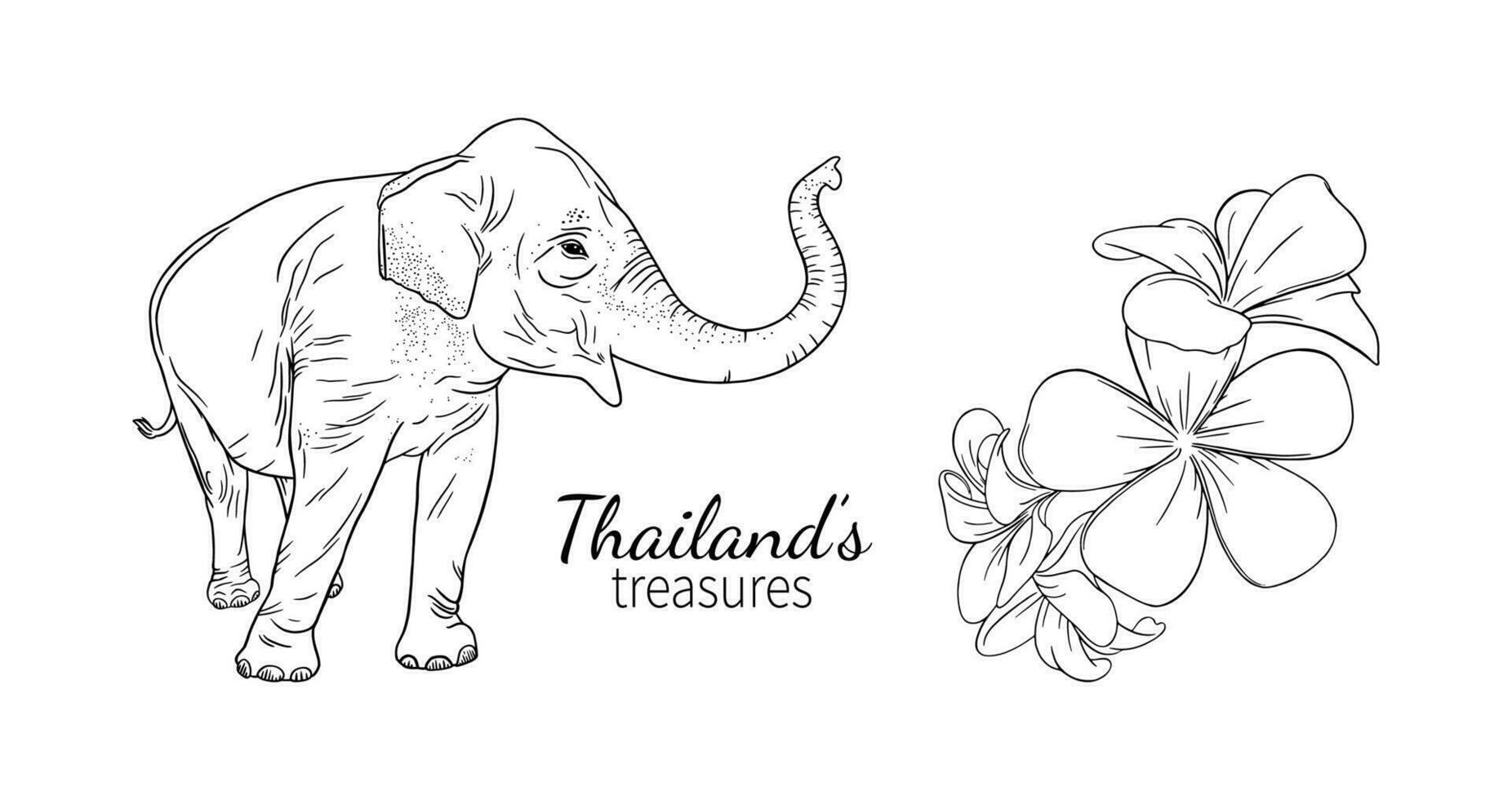 Thailand olifant en frangipani. reeks van Aziatisch symbolen. vector illustratie geïsoleerd Aan wit achtergrond