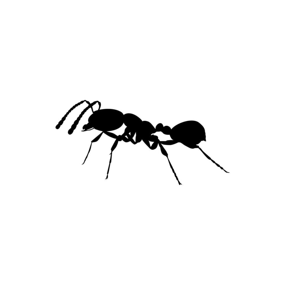 mier silhouet voor kunst illustratie, logo, pictogram, website, of grafisch ontwerp element. vector illustratie