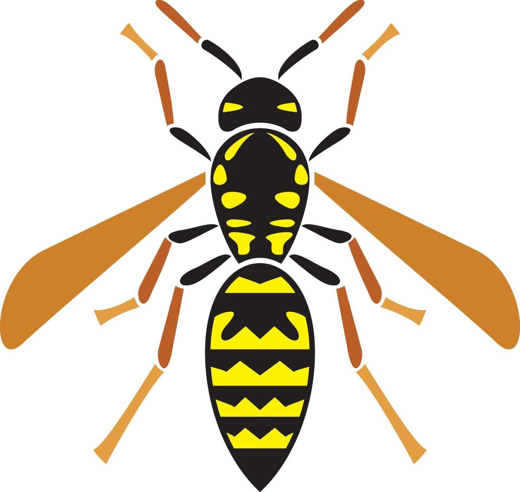 wesp insect pictogram vector