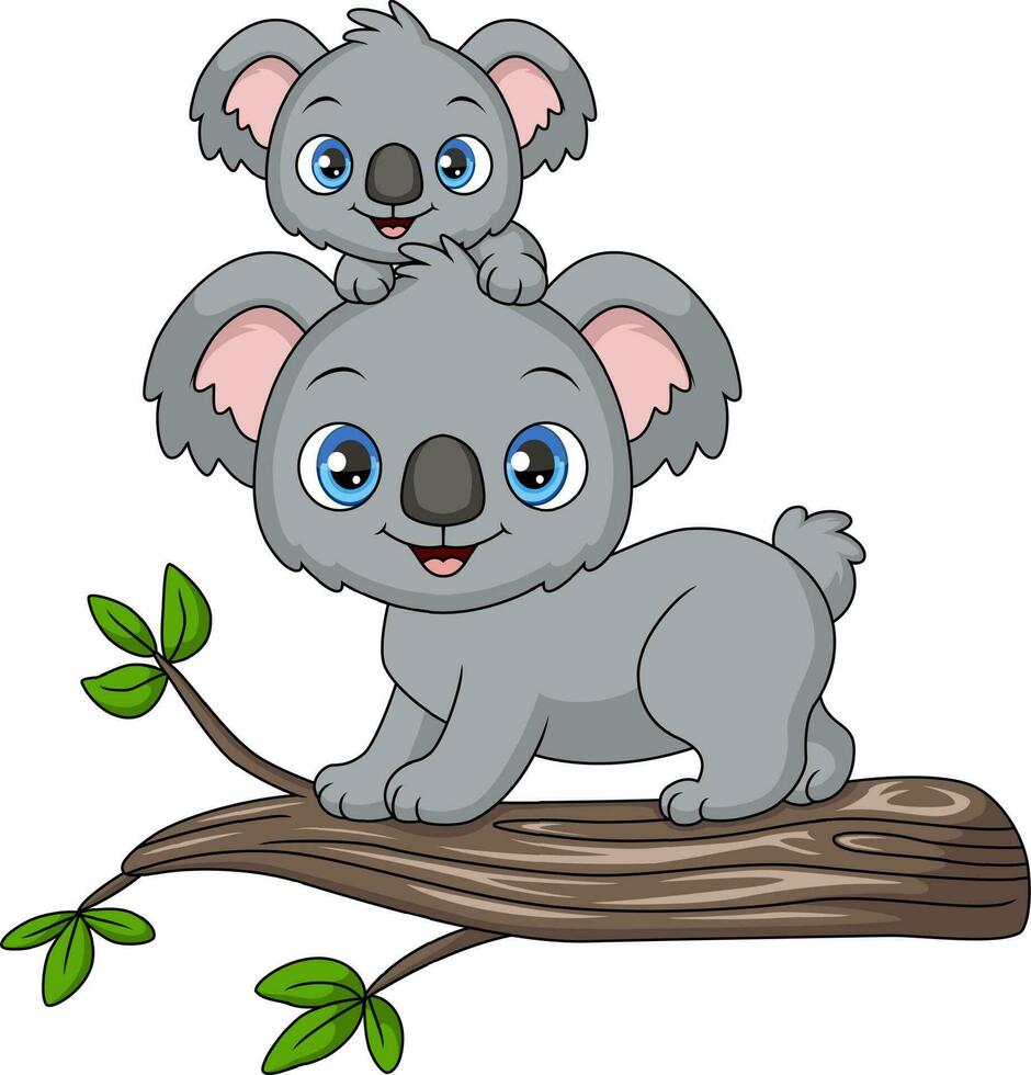 schattig moeder koala en baby Aan een boom Afdeling vector