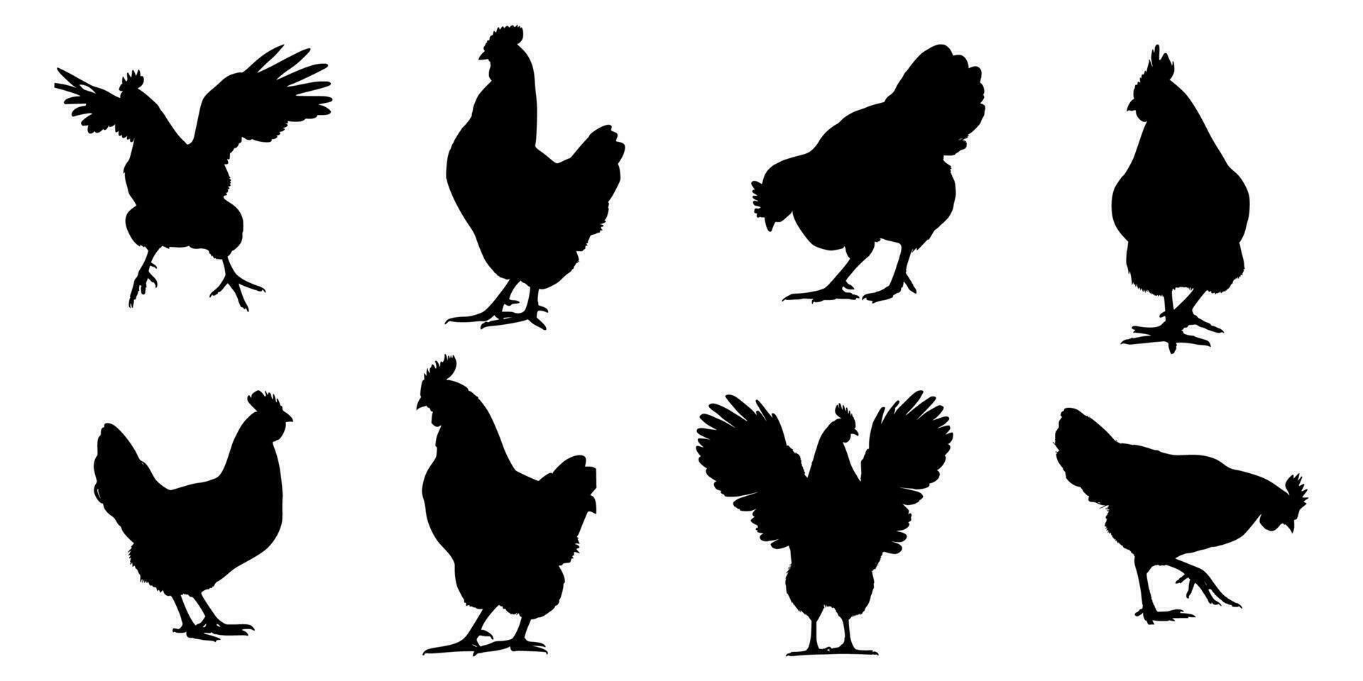 reeks van silhouetten van kippen in divers poses Aan geïsoleerd achtergrond vector