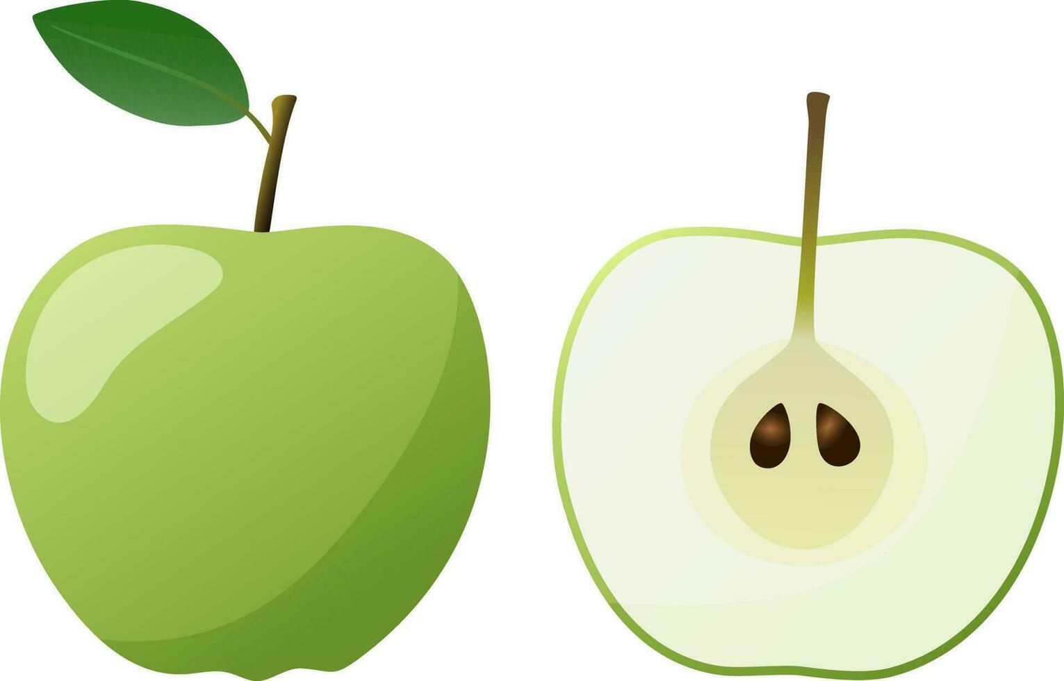 groene appel die op witte achtergrond wordt geïsoleerd vector