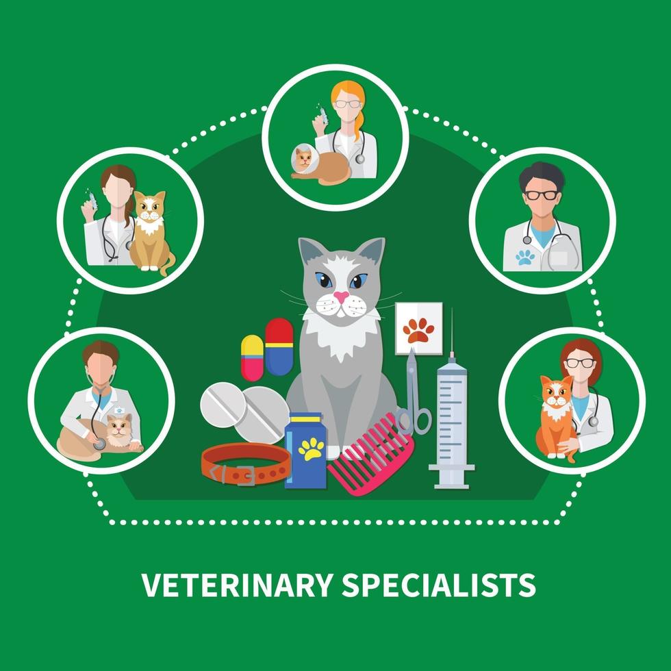 veterinaire specialisten vlakke samenstelling vector
