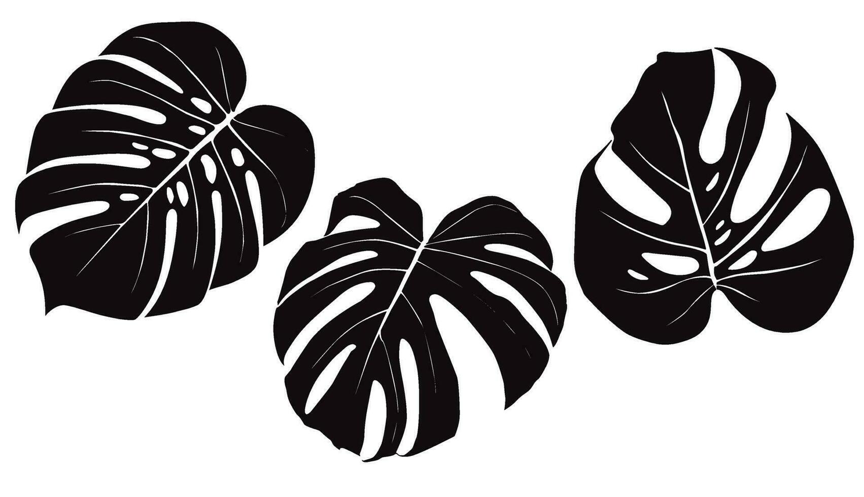 monstera deliciosa plant blad uit tropische bossen geïsoleerd. vector voor wenskaarten, flyers, uitnodigingen, webdesign