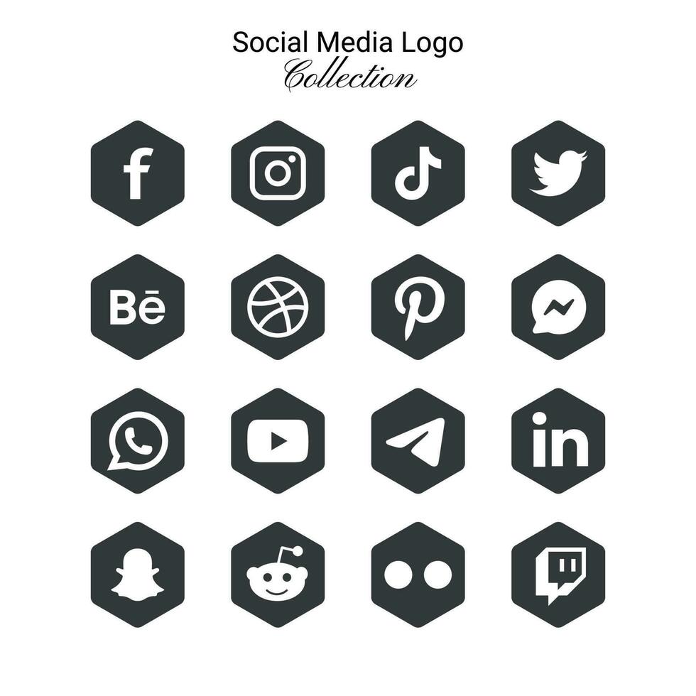 populair sociaal netwerk symbolen, sociaal media logo pictogrammen verzameling vector