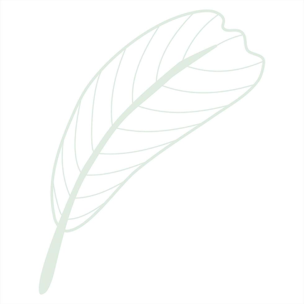 lijntekeningen blad vector