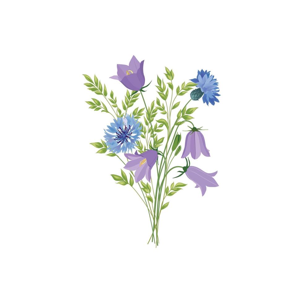 bloemen geïsoleerd. bloemen zomerboeket. weideaarddecor met wilde boshyacinten en blauwe korenbloemen vector