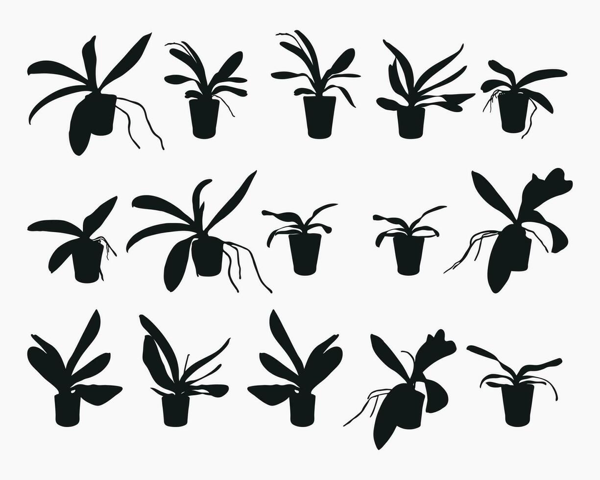 bloem realistisch fabriek pot silhouet vector set. orchidee, phalaenopsie