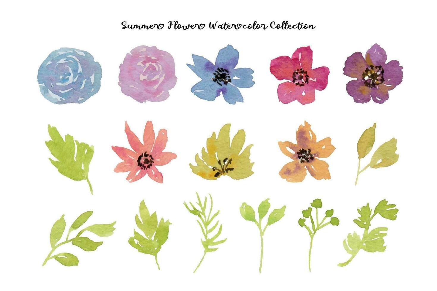 mooi zomer bloem en blad waterverf verzameling vector