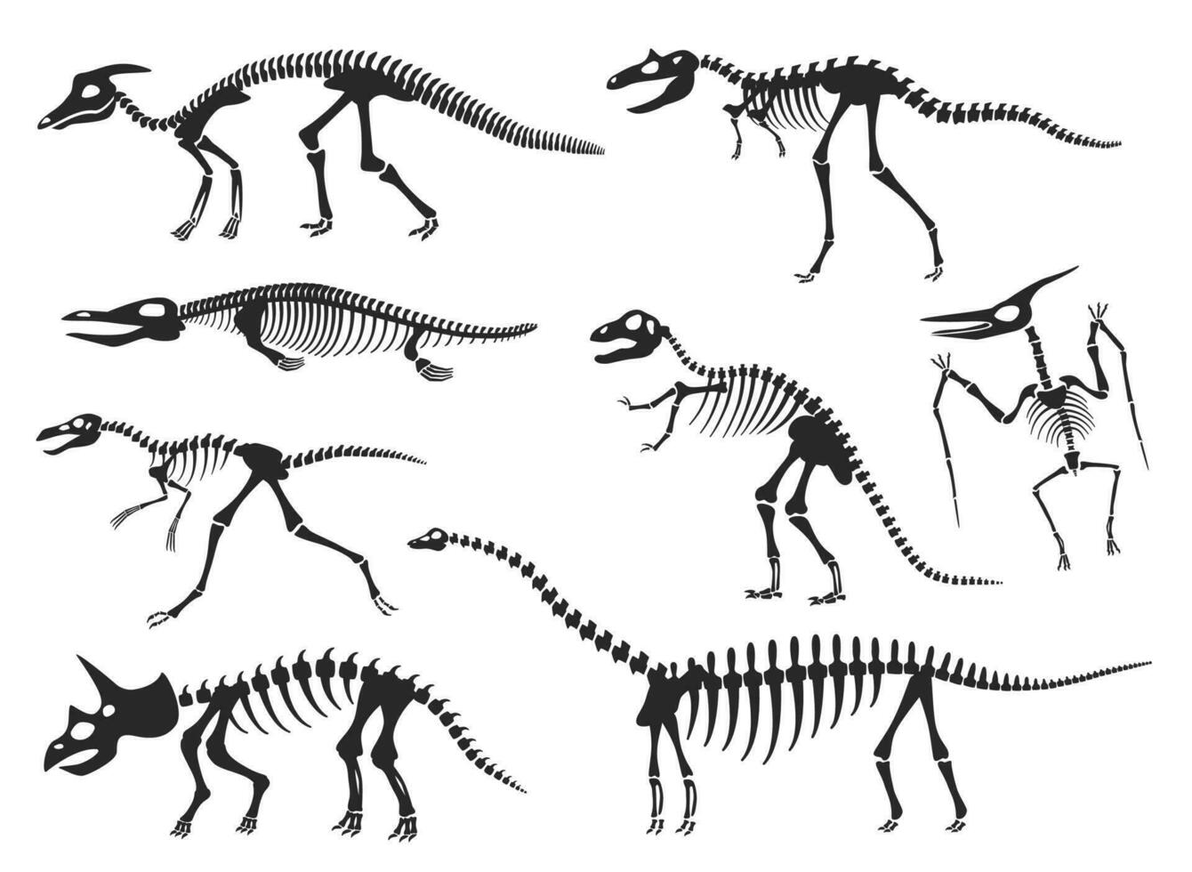 dinosaurussen skelet silhouet, diplodocus, velociraptor, pterodactyl botten. prehistorisch dinosaurus fossielen, oude dier skeletten vector reeks