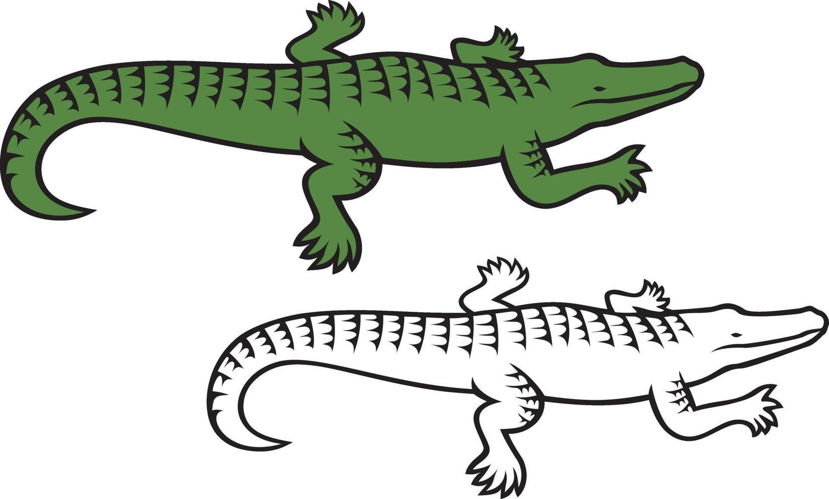 krokodil - alligator pictogram vector