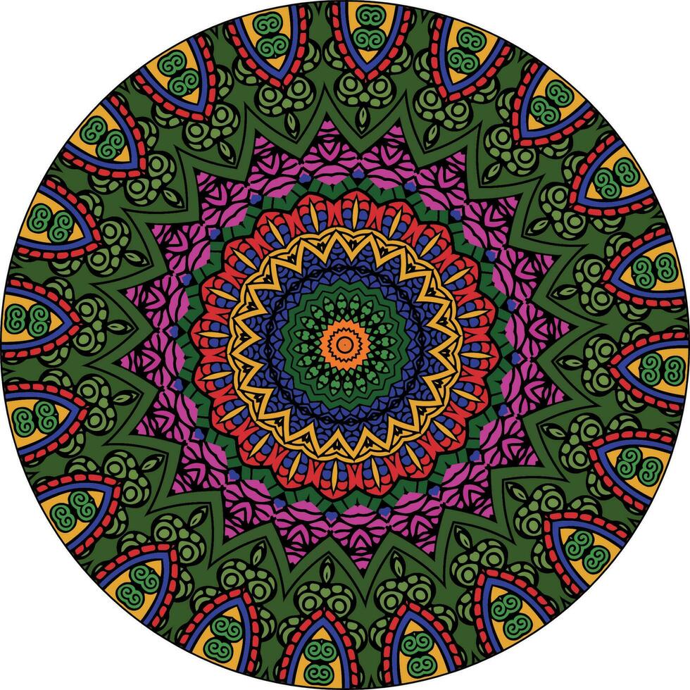 kleurrijk mandala's voor kleur boek. decoratief ronde ornamenten. ongebruikelijk bloem vorm geven aan. oosters. anti stress behandeling patronen. weven ontwerp elementen. vector