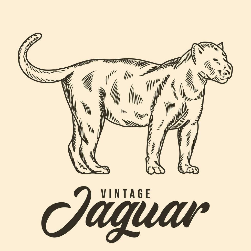 wijnoogst hand- tekening jaguar schetsen vector illustratie