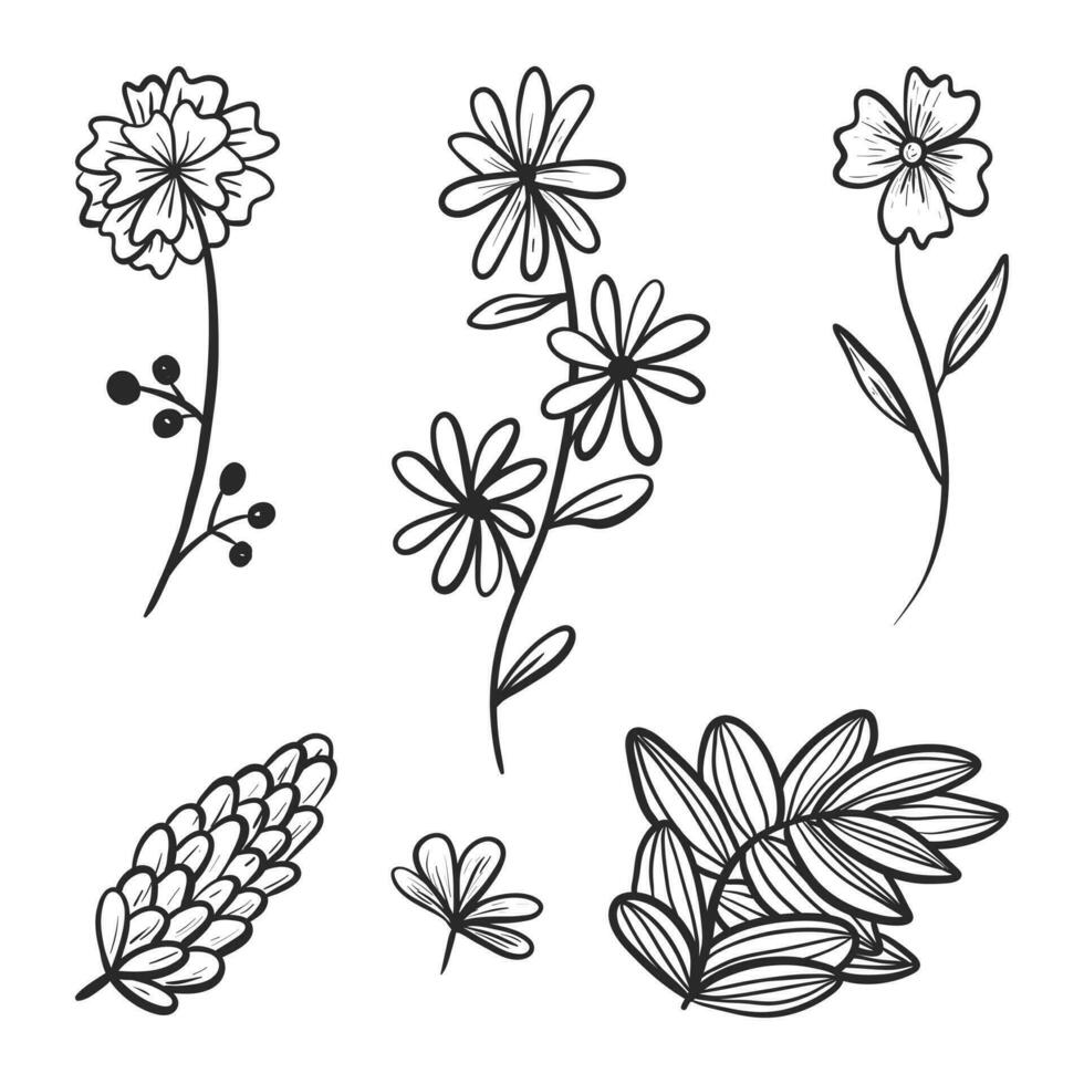 reeks van vector tekening pictogrammen. verzameling van ontwerp elementen, takken en twijgen met bladeren, bloem bloemknoppen en bloemblaadjes.