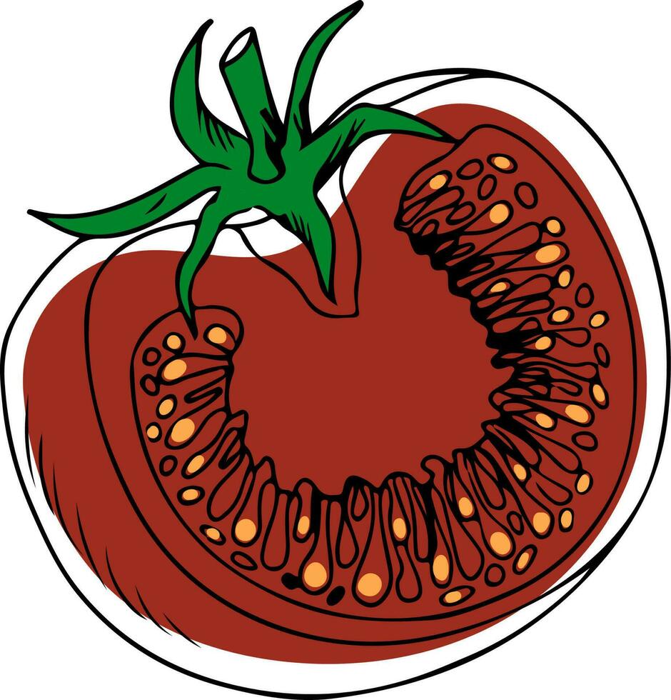 lijn kunst stijl rood gehalveerd tomaat met groen stam geïsoleerd Aan wit achtergrond vector