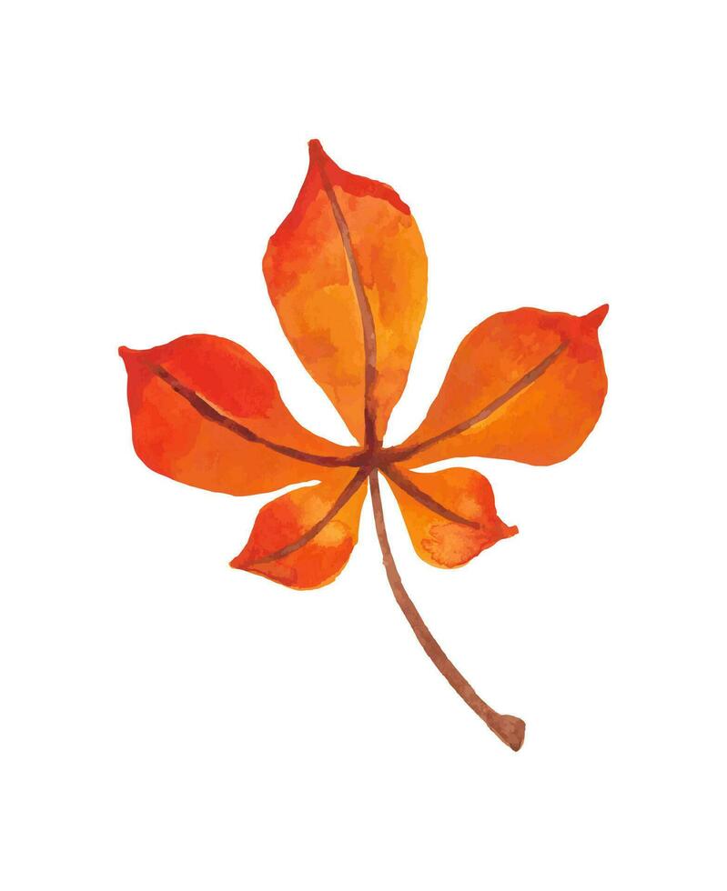 waterverf herfst kastanje blad. hand- getrokken gebladerte. geel en oranje helder kleuren. vector