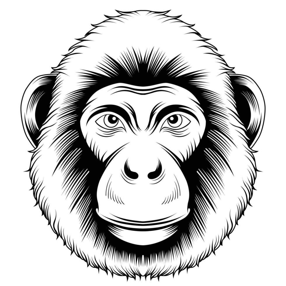 aap hoofd vector illustratie