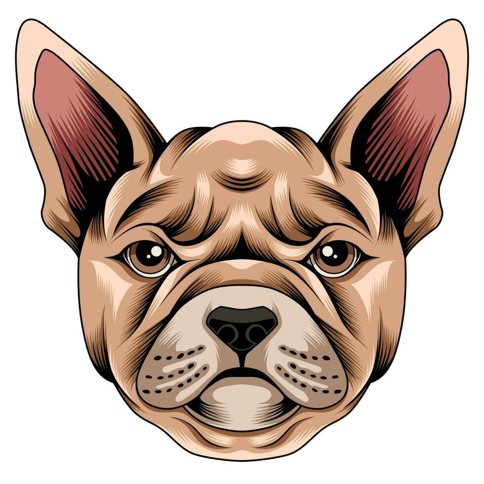 franse bulldog vectorillustratie vector