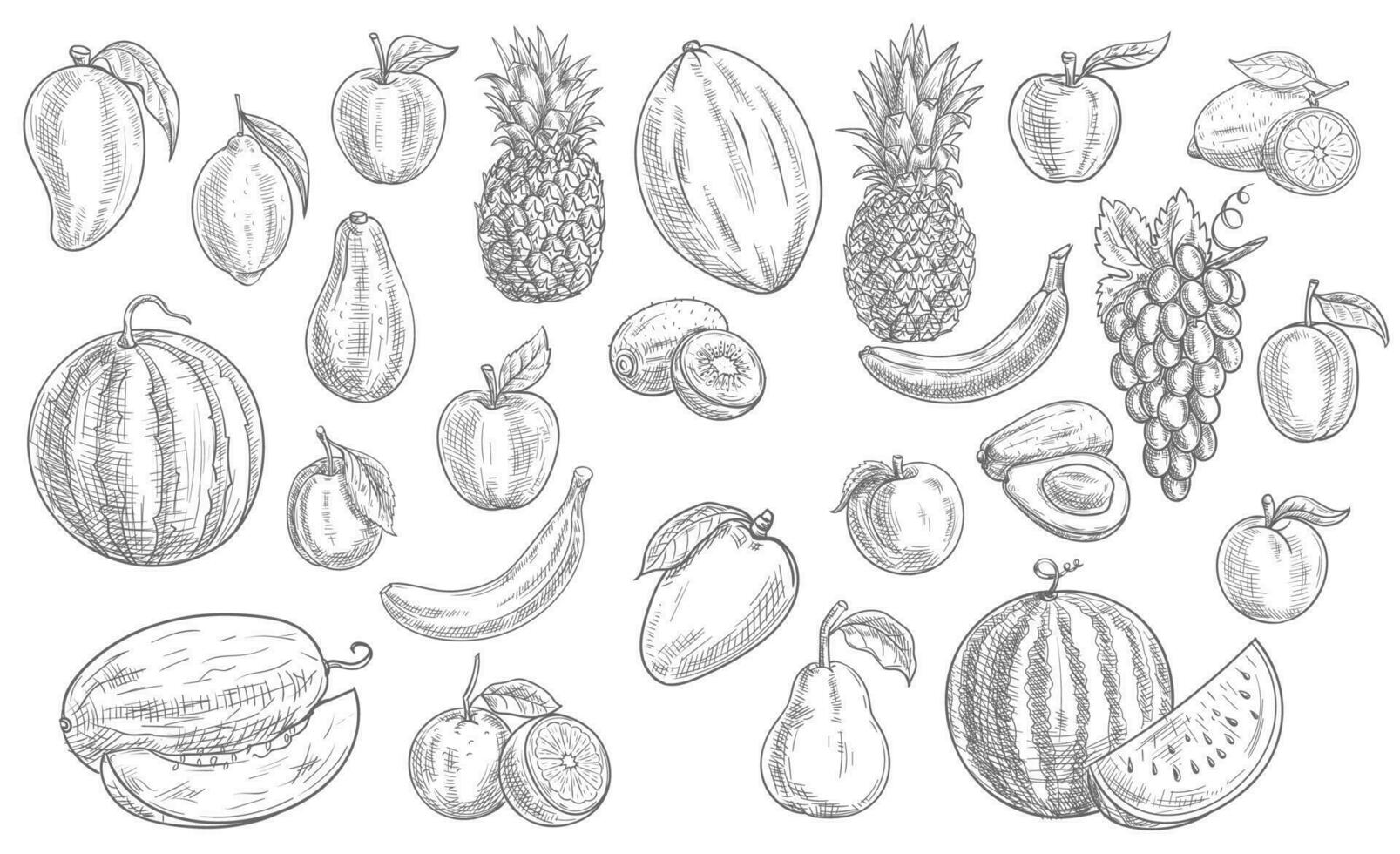 schetsen fruit geïsoleerd vector pictogrammen, tropisch reeks