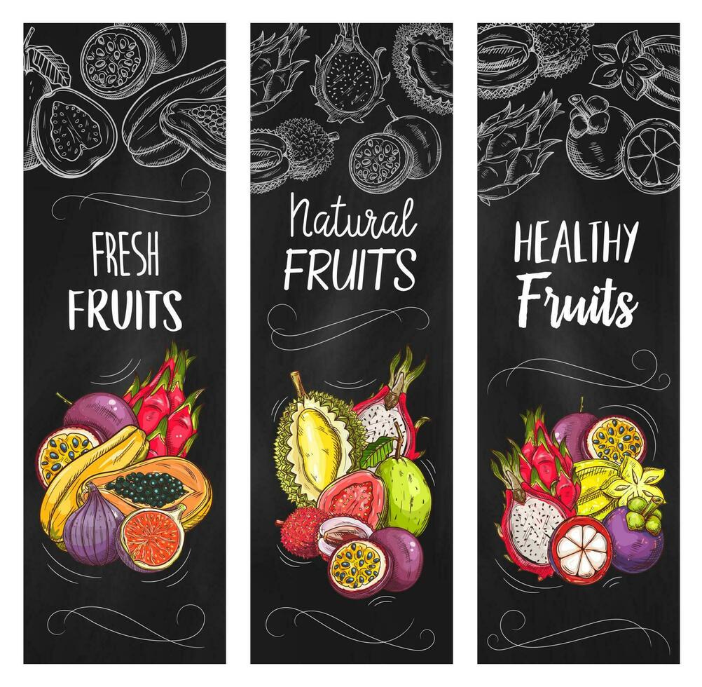 exotisch schetsen fruit vector schoolbord banners reeks