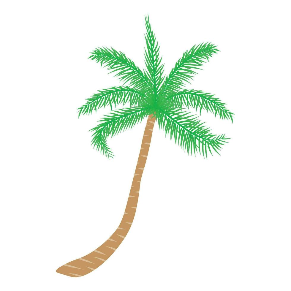 tropisch palm boom. vector illustratie