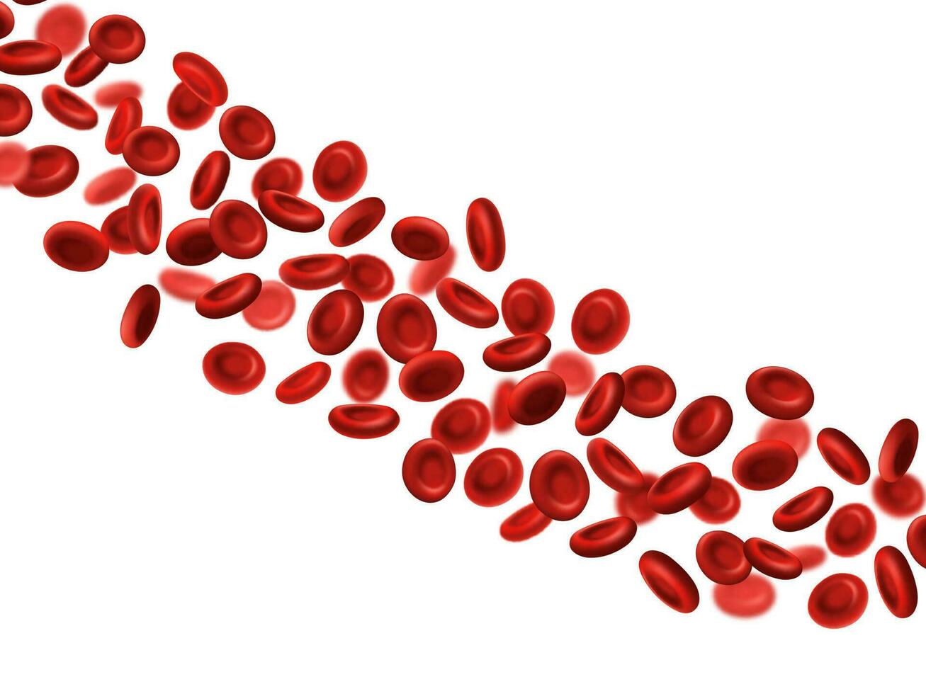 rood bloed cellen, medisch hemoglobine erytrocyten vector