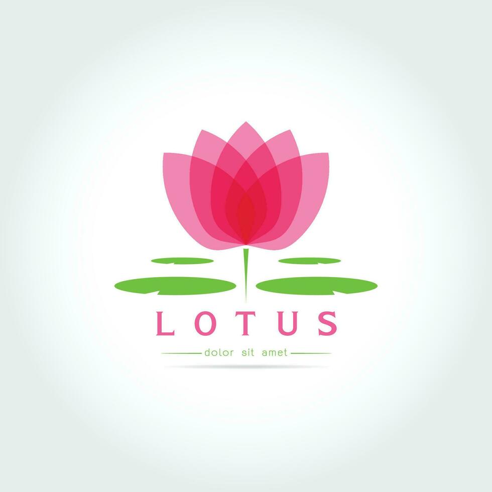 lotusbloem logo vector