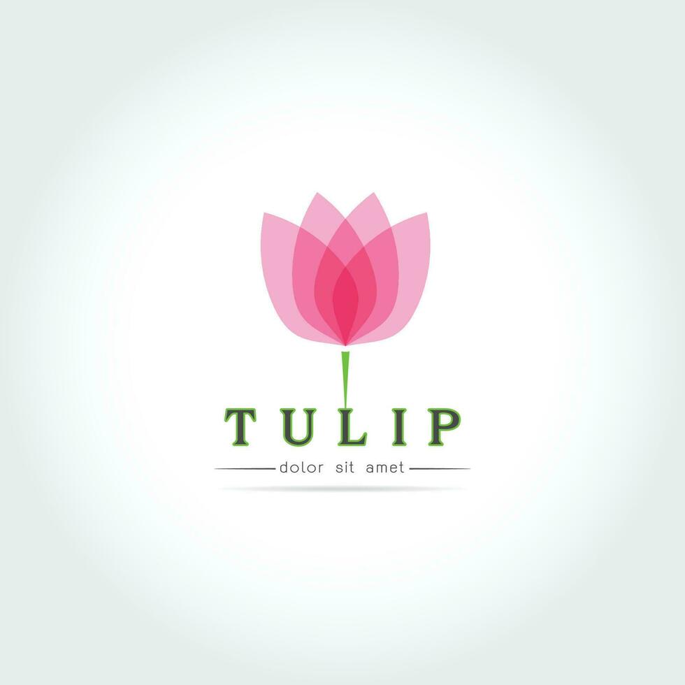 gemakkelijk tulp knop met bladeren ontwerp vector