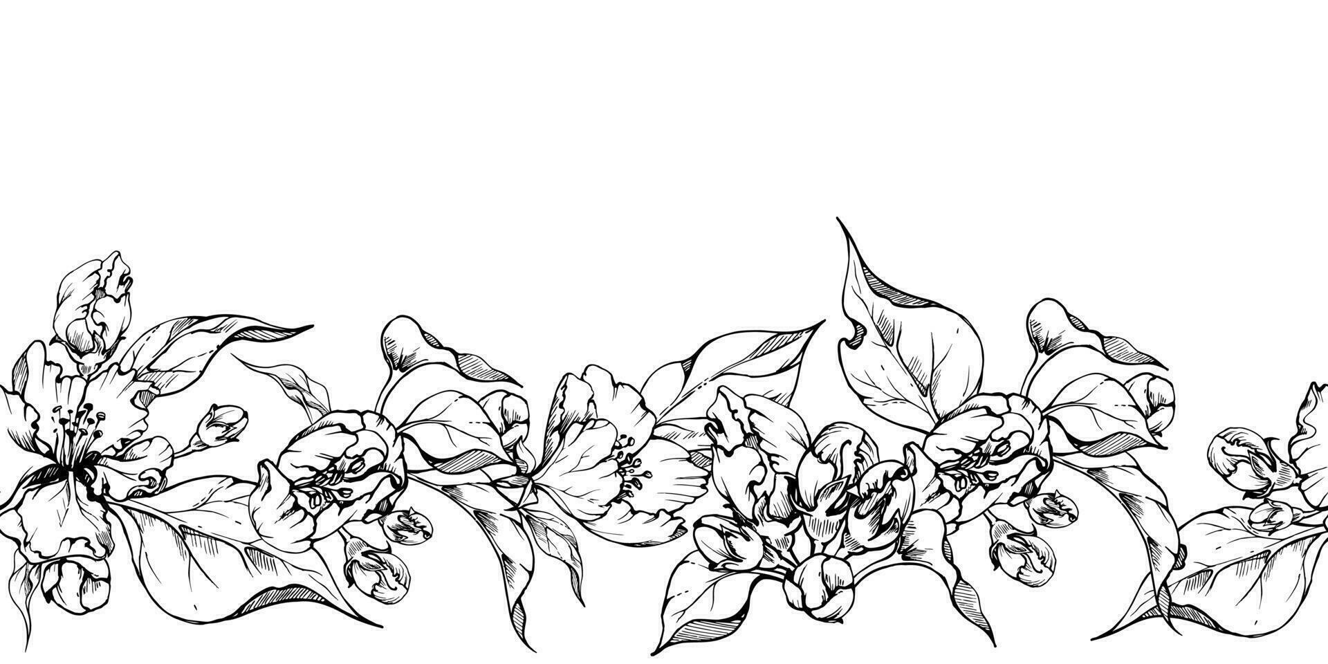 hand- getrokken inkt appel bloemen en bladeren, monochroom vector, gedetailleerd schets. naadloos horizontaal spandoek. geïsoleerd Aan wit achtergrond. ontwerp voor muur kunst, bruiloft, afdrukken, kleding stof, omslag, kaart. vector