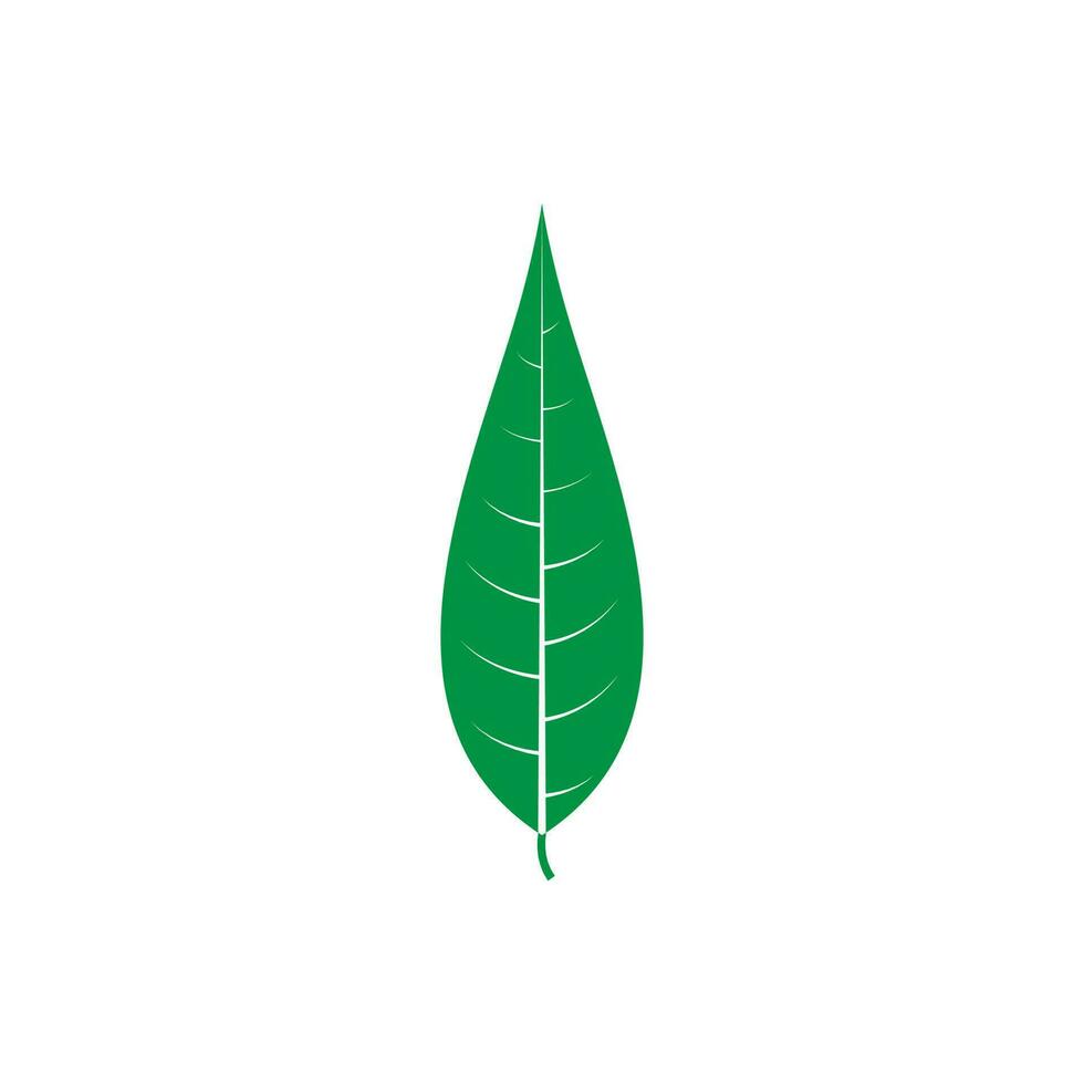 groen blad vector icoon. plantkunde illustratie teken . ecologie symbool. eco teken.