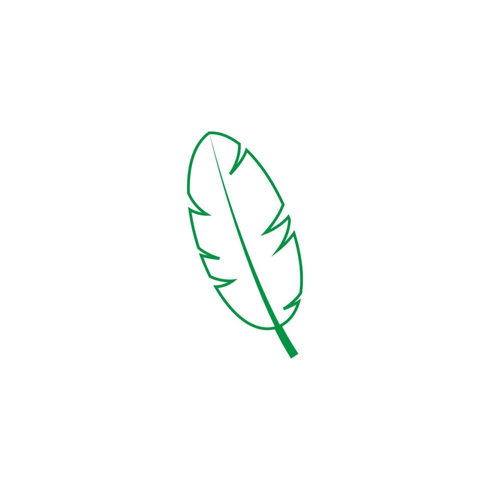 groen blad vector icoon. plantkunde illustratie teken . ecologie symbool. eco teken.