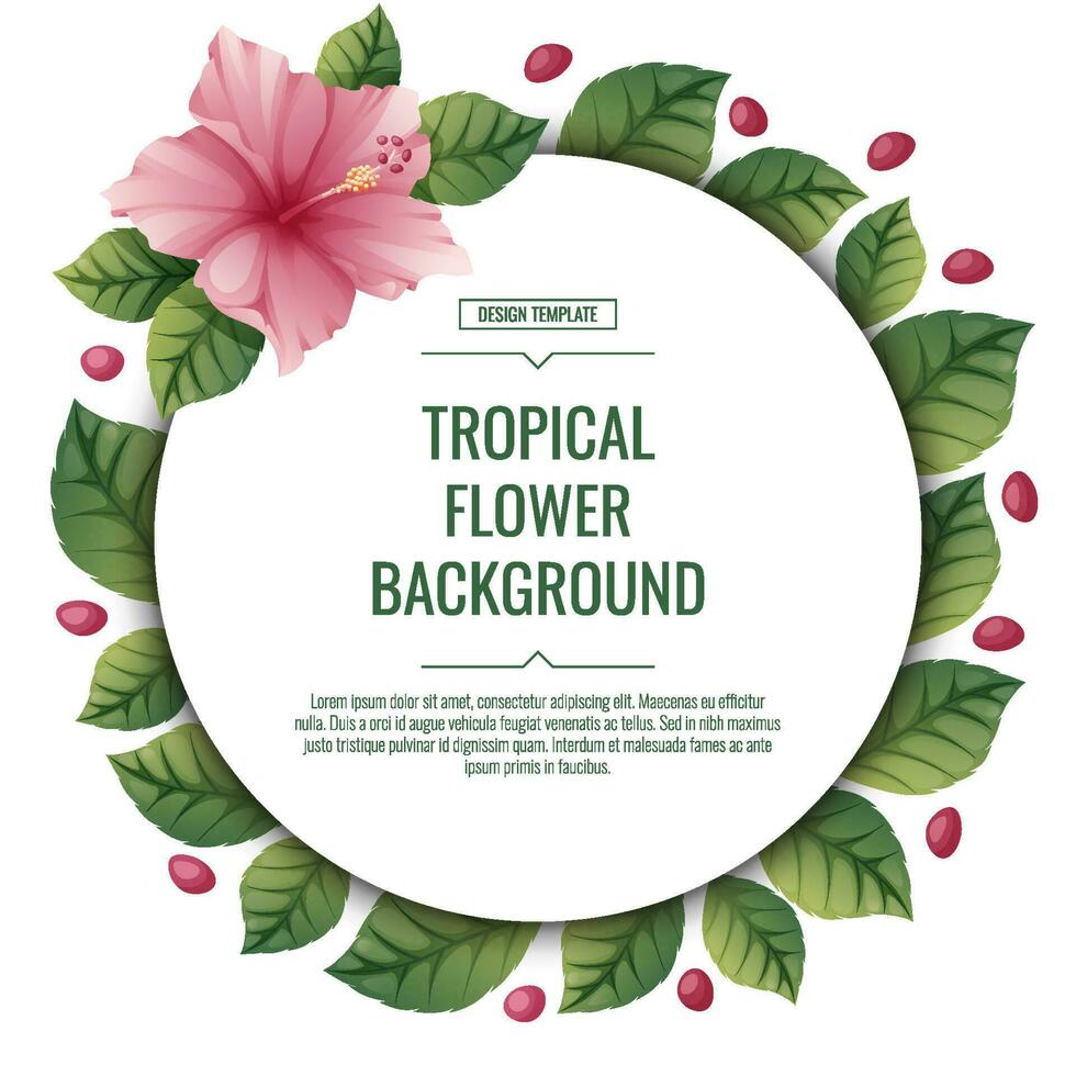 plein tropisch achtergrond met roze hibiscus bloemen. poster, aanplakbiljet, banier, folder met tropisch planten. zomer bloem illustratie vector