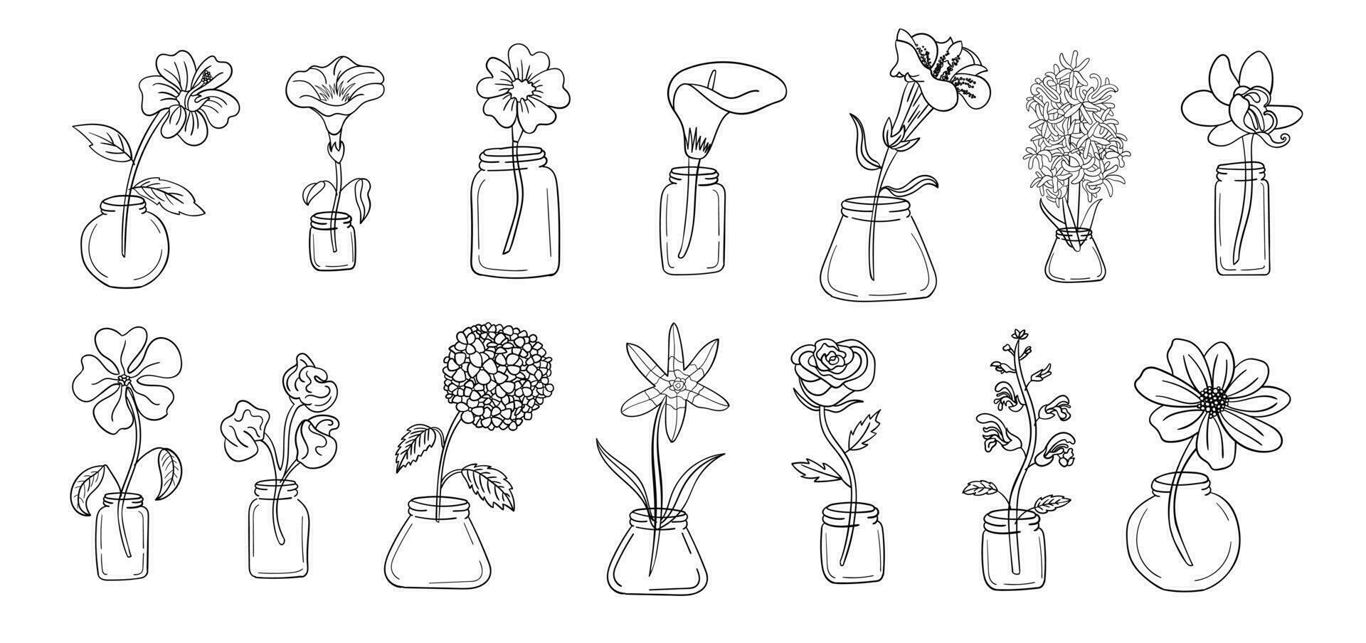 realistisch bloem pot lijn kunst set. perfect voor illustraties. vector