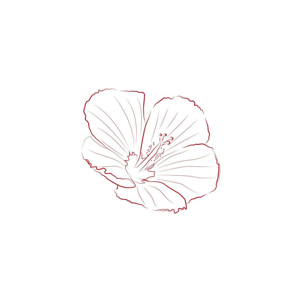 een vector beeld van een hibiscus bloem gemaakt in een rood lijn kunst stijl