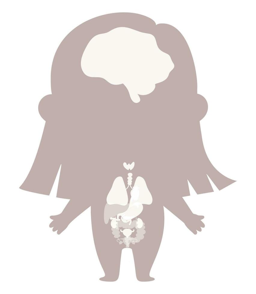 anatomie menselijk lichaam. vrouw silhouet met zichtbaar structuur intern organen. vector illustratie. medisch, biologisch concept, kinderen verzameling.