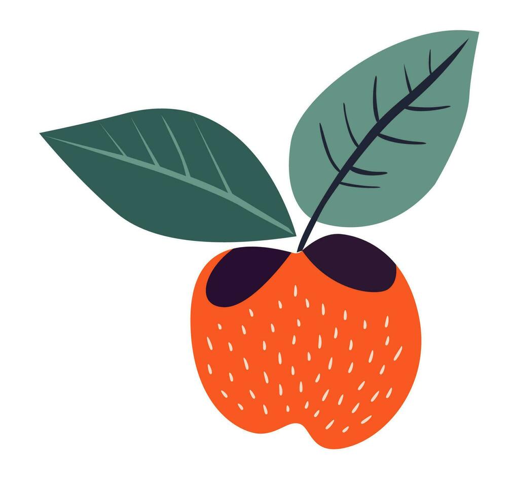 gemakkelijk tekening appel fruit. vector illustratie