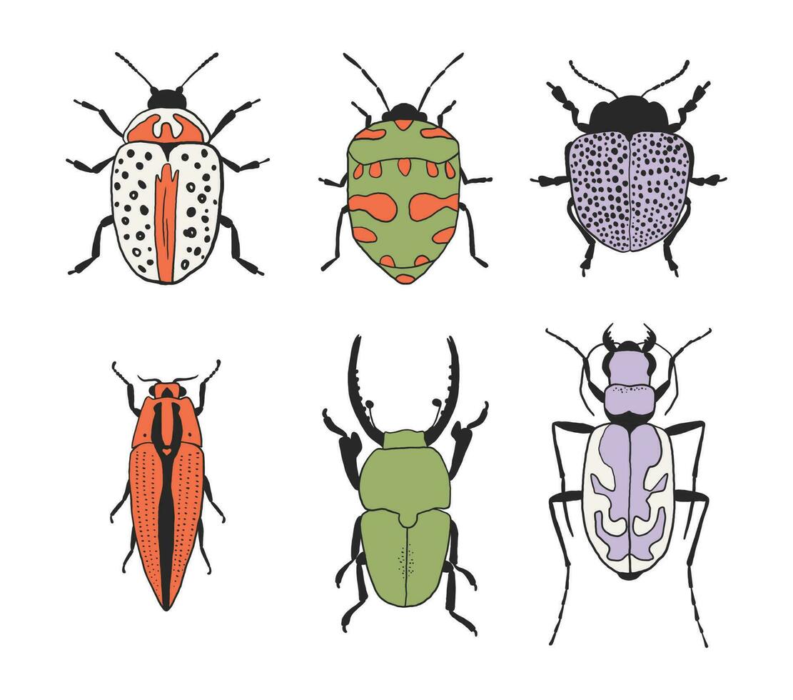 kleurrijk kever set. verzameling van hand- getrokken insecten vector