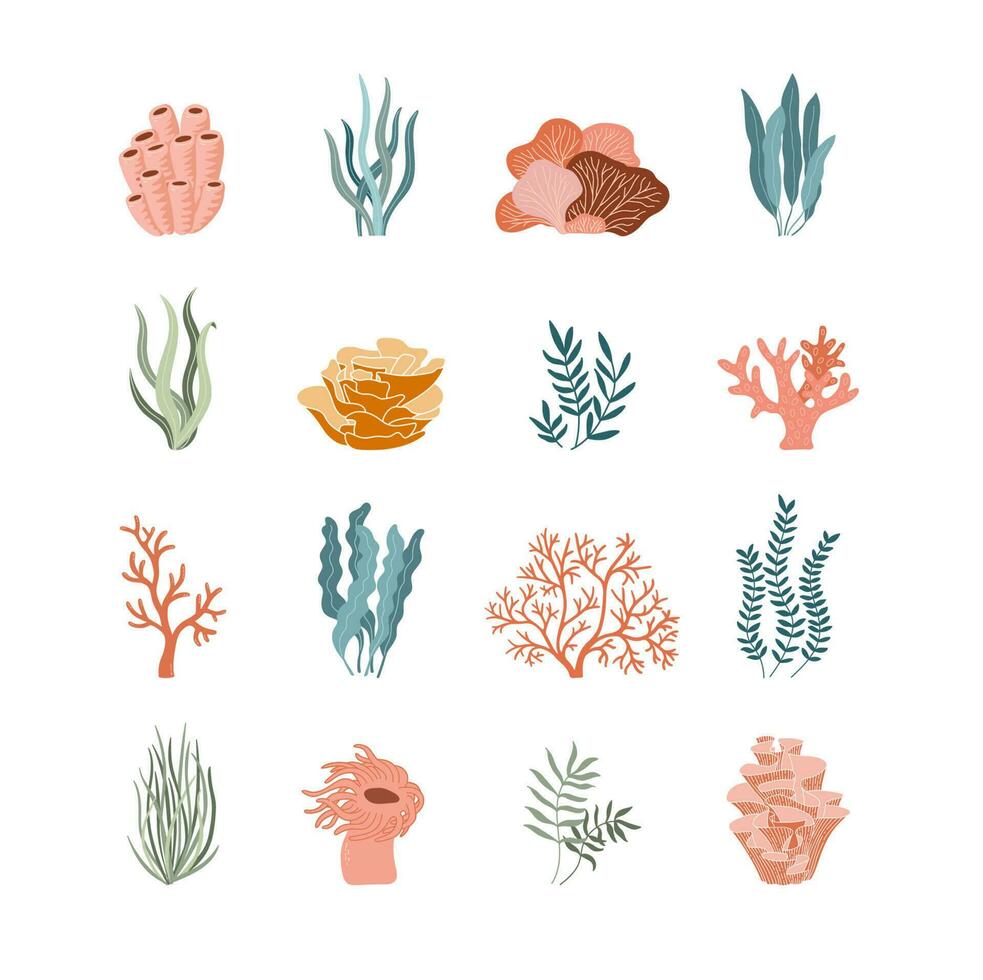 onderwater- oceaan flora vlak pictogrammen. modieus koraal rif en water planten vector set. aquarium algen, laminaria, zeewier geïsoleerd Aan wit achtergrond.