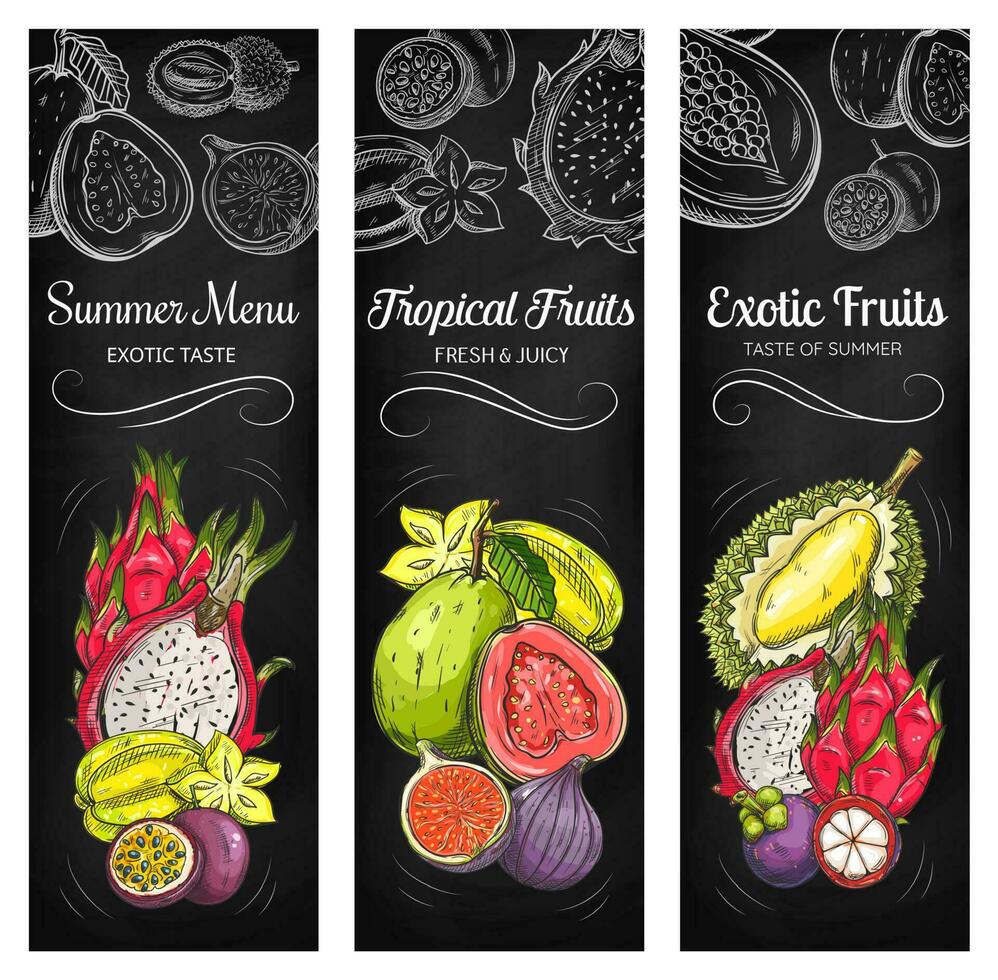 tropisch fruit schoolbord schetsen banners vector