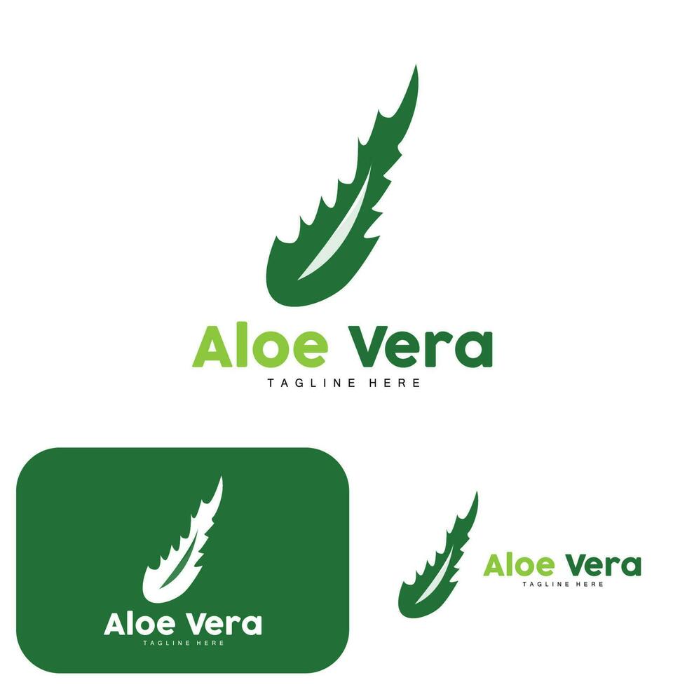 aloë vera logo, groen fabriek ontwerp, traditioneel geneeskunde en huid zorg fabriek vector, haar- zorg, symbool icoon illustratie vector