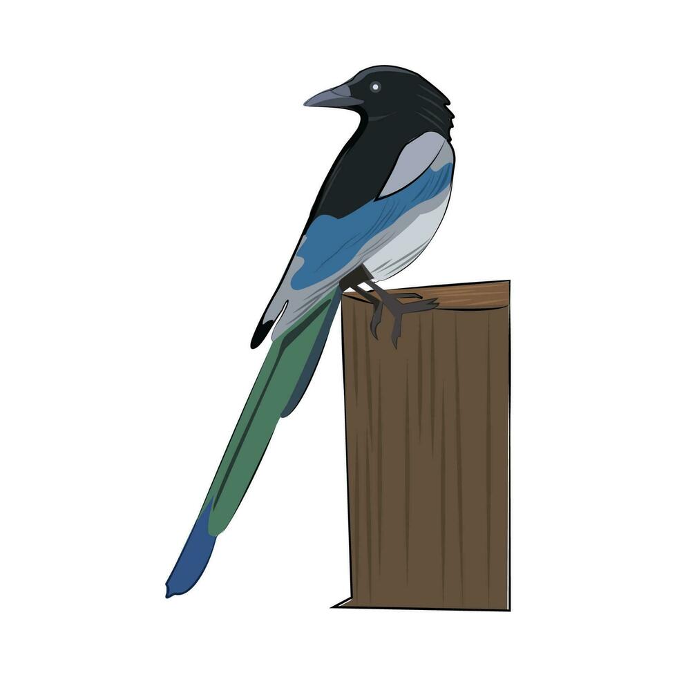 vogel vector illustratie