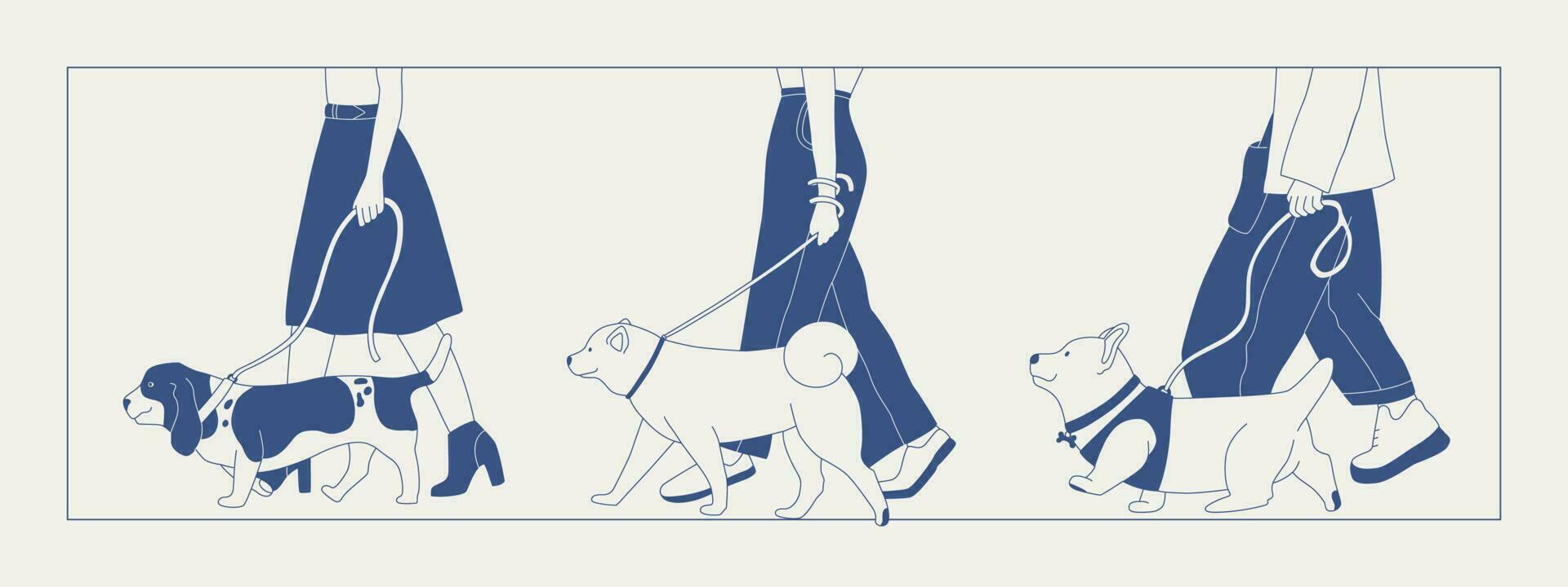 een Mens wandelingen een hond Aan een riem. verschillend rassen van honden Aan een wandelen. hond tonen of hond wandelen in de stad of in de park. vector vlak contour grafiek.