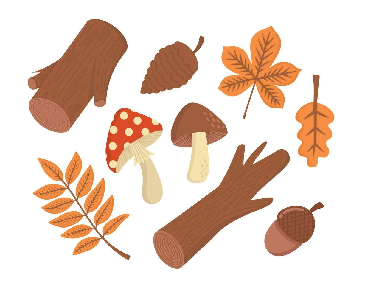 tekening vlak clip art. herfst reeks van cadeaus van natuur. allemaal voorwerpen zijn opnieuw geschilderd. vector