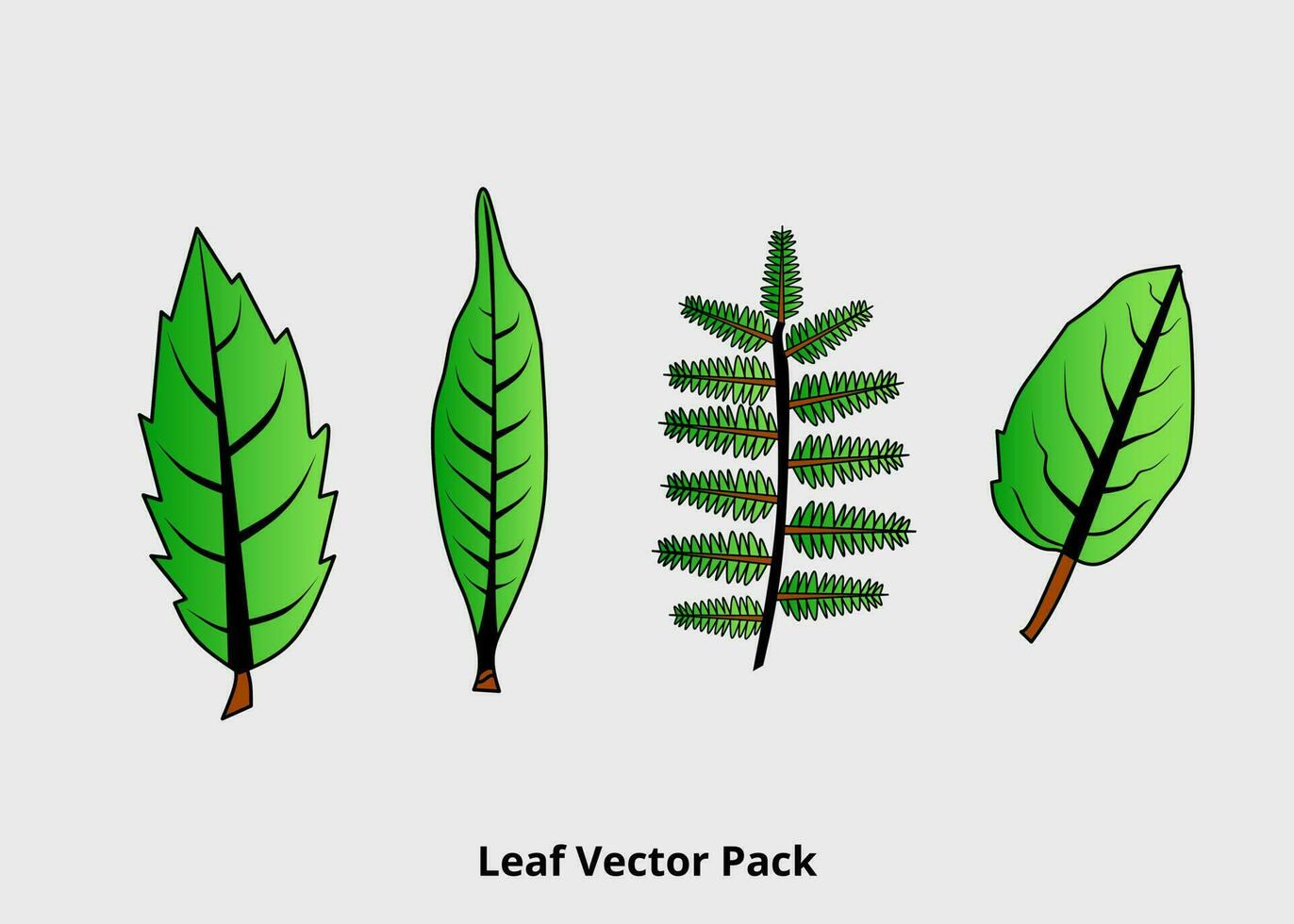 groen blad natuur gebladerte verzameling vector