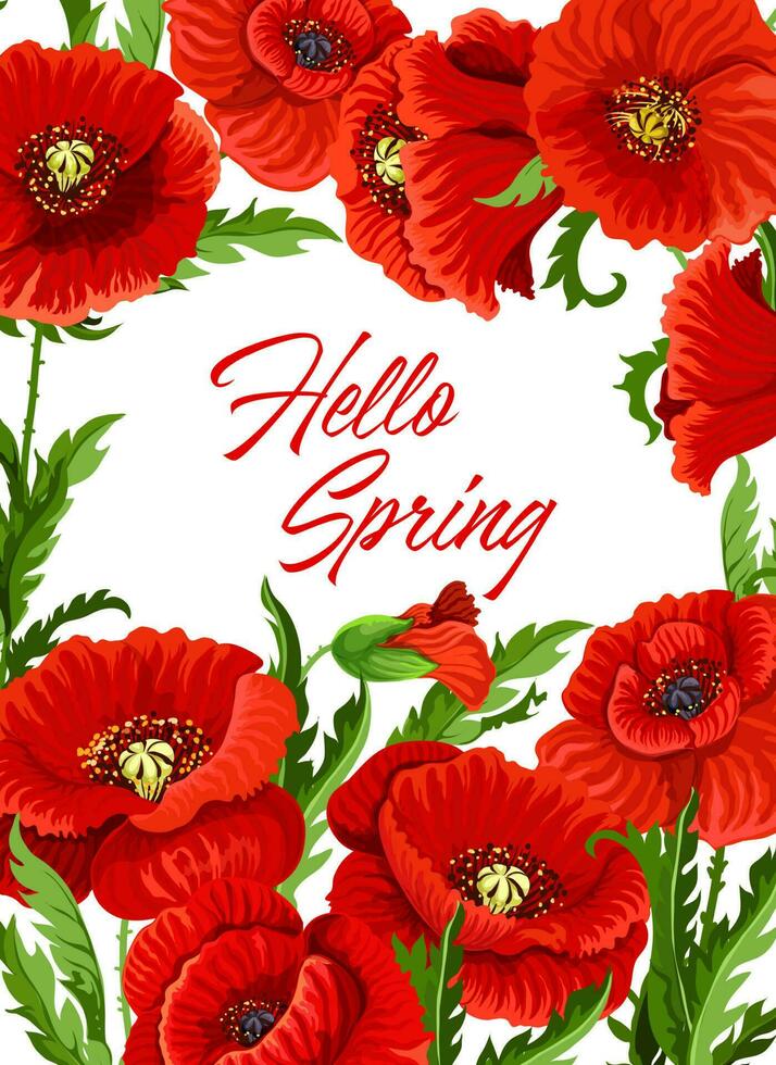 voorjaar seizoen poster sjabloon met papaver bloemen vector