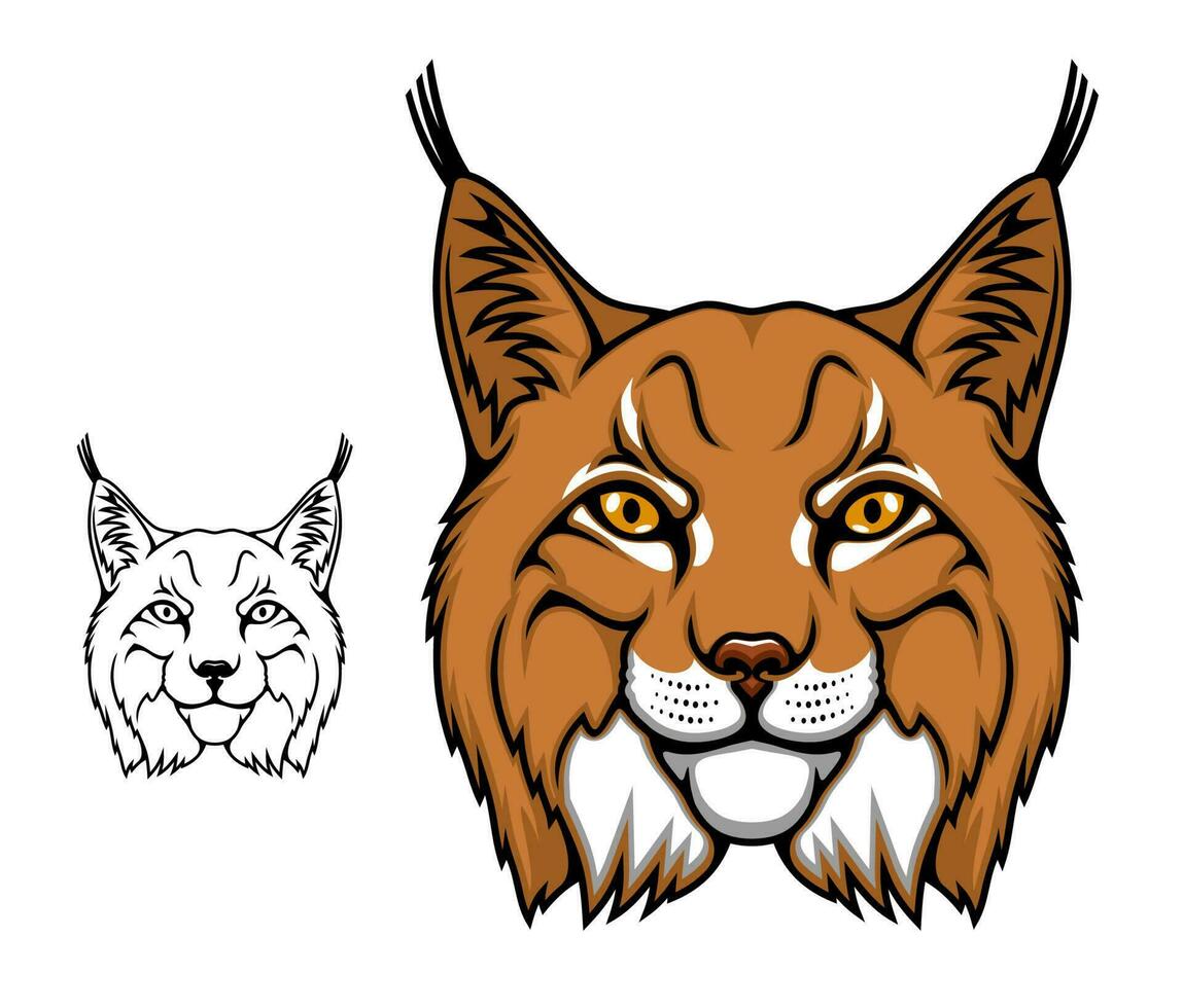 lynx of bobcat mascotte, hoofd van wild tekenfilm dier vector